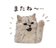 843397810