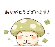 843397955