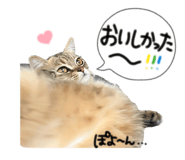 843398008