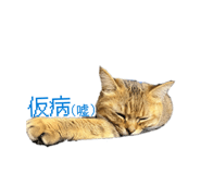 843398014