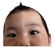 843398102
