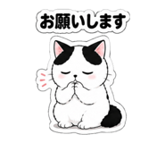 843398155