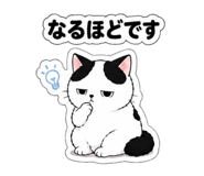 843398163