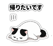 843398165