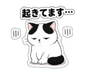 843398168