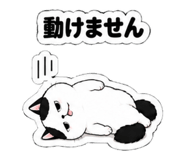 843398175