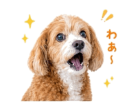 843398180
