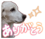 843398652