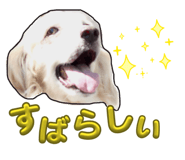 843398655