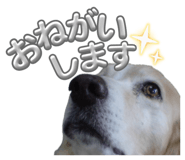 843398659