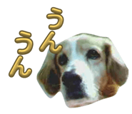 843398660