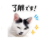 843399047
