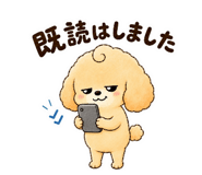 843399049