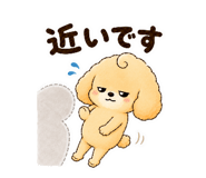 843399065