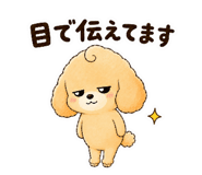 843399073