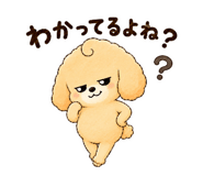 843399078