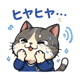843399162