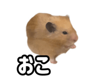 843399290