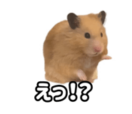 843399291