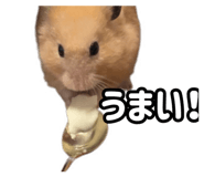 843399292
