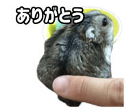 843399297