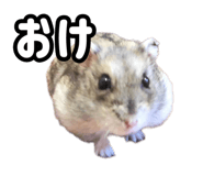 843399298