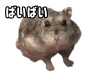 843399299
