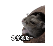 843399303
