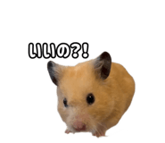 843399310