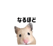 843399311