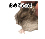 843399312