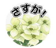 843399533