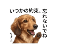 843399734
