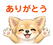 843399774