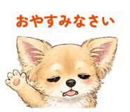843399781