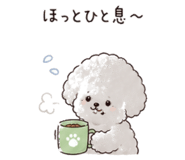843400120