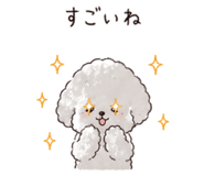 843400126