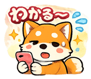 843400169