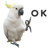 843400491