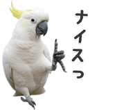 843400495