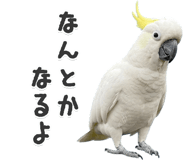 843400502