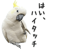 843400504