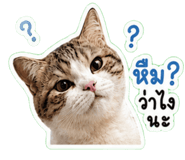 843401179