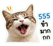 843401186