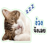 843401189