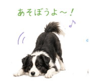 843401318