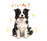 843401320