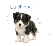 843401326