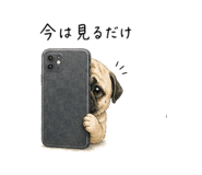 843401630