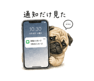 843401635